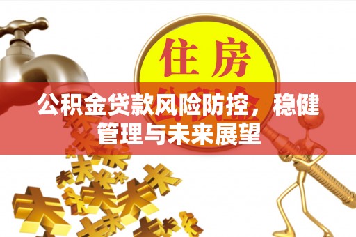 岱山公积金贷款风险防控，稳健管理与未来展望