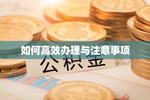 岱山如何高效办理与注意事项