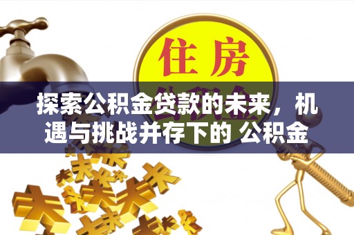 岱山探索公积金贷款的未来，机遇与挑战并存下的 公积金贷款风险防控