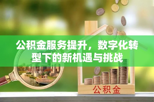 岱山公积金服务提升，数字化转型下的新机遇与挑战
