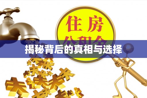 岱山揭秘背后的真相与选择