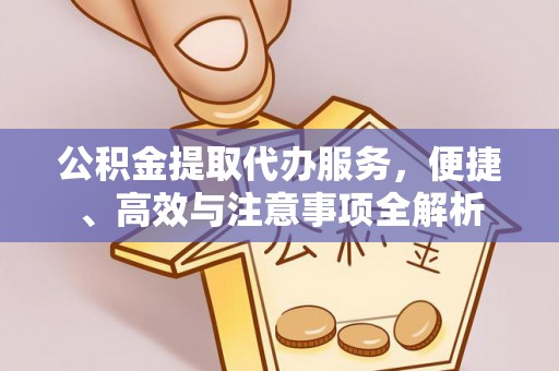 岱山公积金提取代办服务，便捷、高效与注意事项全解析