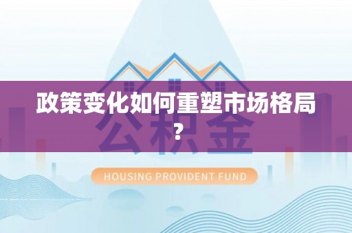 岱山政策变化如何重塑市场格局？