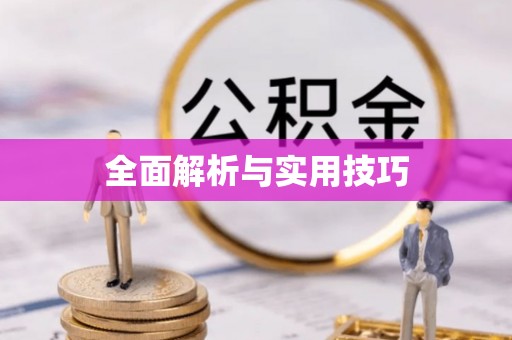 岱山全面解析与实用技巧