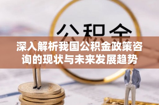 岱山深入解析我国公积金政策咨询的现状与未来发展趋势