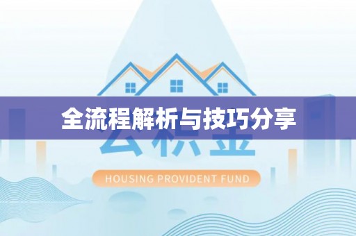 岱山全流程解析与技巧分享